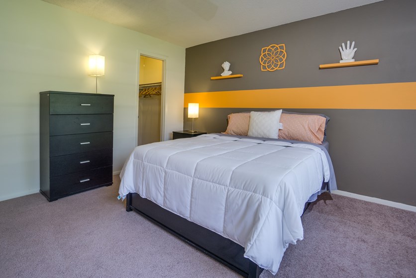 Arbor Park Apartments in Gainesville Florida Swamp Rentals